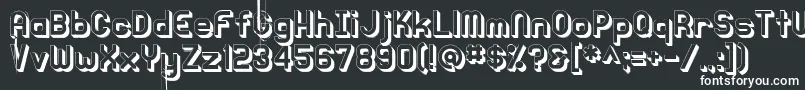Knochen3DRegular Font – White Fonts