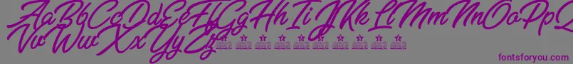 Шрифт ZabritzkyesPersonalUse – фиолетовые шрифты на сером фоне