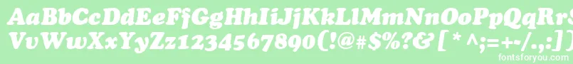 Agcsi Font – White Fonts on Green Background