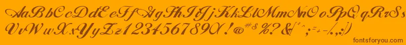 WhimsiScriptSsk Font – Brown Fonts on Orange Background