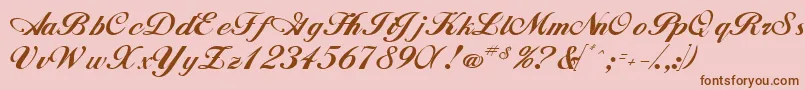 WhimsiScriptSsk Font – Brown Fonts on Pink Background