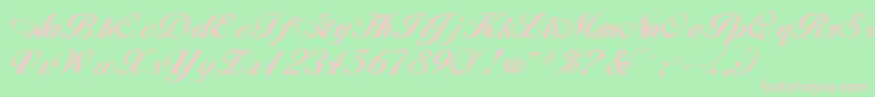 WhimsiScriptSsk Font – Pink Fonts on Green Background