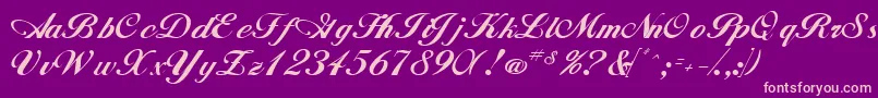 WhimsiScriptSsk-Schriftart – Rosa Schriften auf violettem Hintergrund