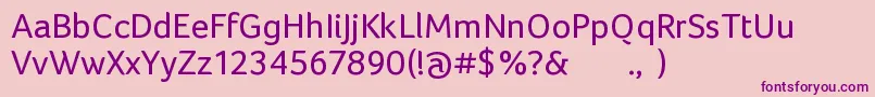 FocoRegular Font – Purple Fonts on Pink Background