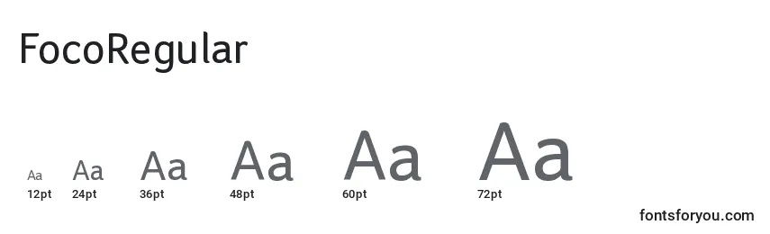 FocoRegular Font Sizes