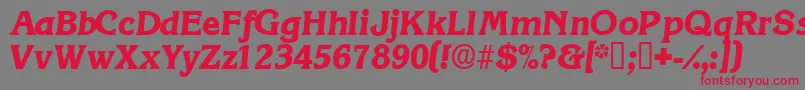 フォントViticadisplaysskItalic – 赤い文字の灰色の背景