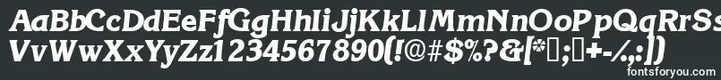 フォントViticadisplaysskItalic – 黒い背景に白い文字