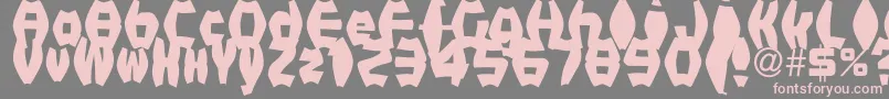 FatManIiBold Font – Pink Fonts on Gray Background