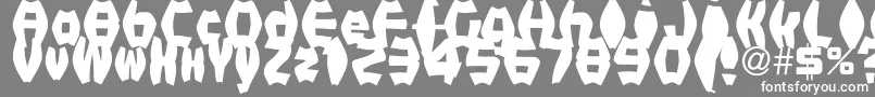 FatManIiBold Font – White Fonts on Gray Background