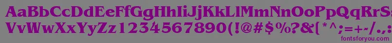 BenguiatRusBold Font – Purple Fonts on Gray Background