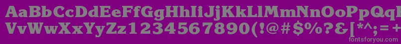 フォントKorinnablackcBold – 紫の背景に灰色の文字