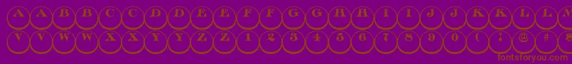 ADiscoserifdn3D Font – Brown Fonts on Purple Background