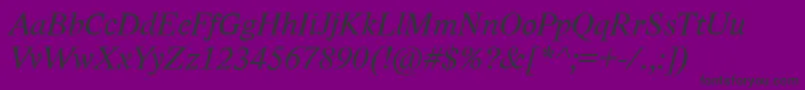 LidoStfCeItalic Font – Black Fonts on Purple Background