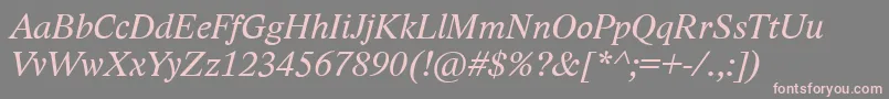 フォントLidoStfCeItalic – 灰色の背景にピンクのフォント