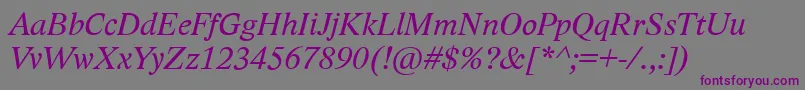LidoStfCeItalic-fontti – violetit fontit harmaalla taustalla