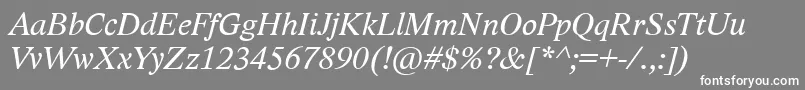 LidoStfCeItalic-fontti – valkoiset fontit harmaalla taustalla