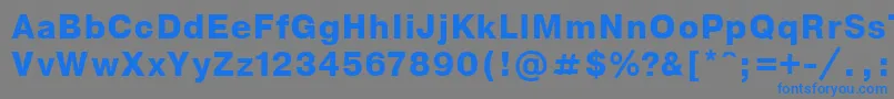 フォントNthelveticaBoldoblique – 灰色の背景に青い文字