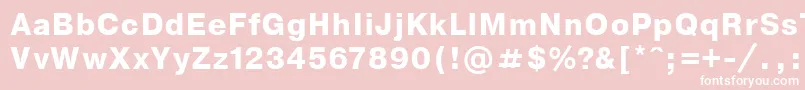 NthelveticaBoldoblique Font – White Fonts on Pink Background