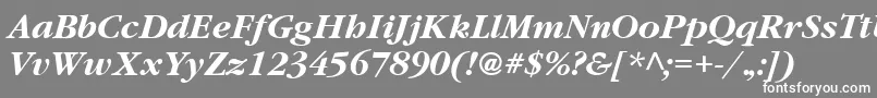 GatineauBoldItalic Font – White Fonts on Gray Background