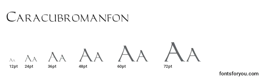 Размеры шрифта Caracubromanfon