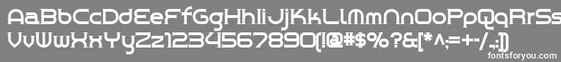 フォントChrome Yellow Nf – 灰色の背景に白い文字