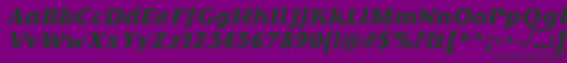 FlorentiaFatItalicTrial Font – Black Fonts on Purple Background