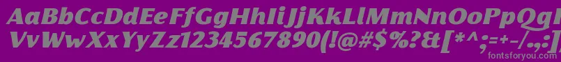 FlorentiaFatItalicTrial Font – Gray Fonts on Purple Background