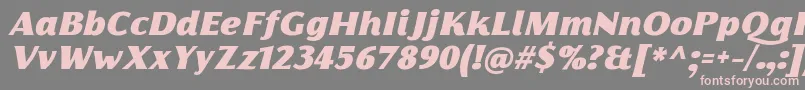 FlorentiaFatItalicTrial-Schriftart – Rosa Schriften auf grauem Hintergrund