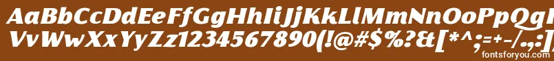 FlorentiaFatItalicTrial-Schriftart – Weiße Schriften auf braunem Hintergrund