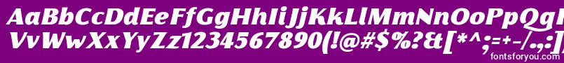 FlorentiaFatItalicTrial Font – White Fonts on Purple Background