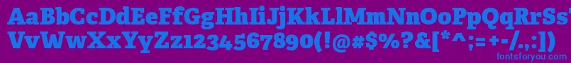 AdelleCyrillicHeavy Font – Blue Fonts on Purple Background