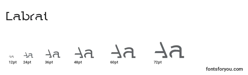 Размеры шрифта Labrat