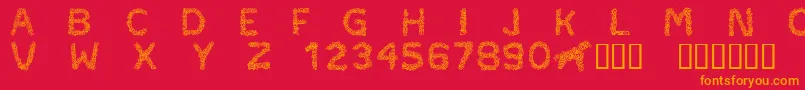 CftypocraftRegular Font – Orange Fonts on Red Background