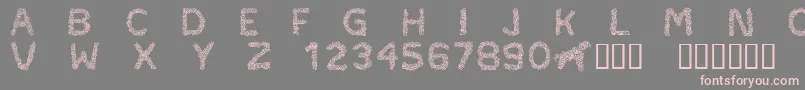 CftypocraftRegular-Schriftart – Rosa Schriften auf grauem Hintergrund