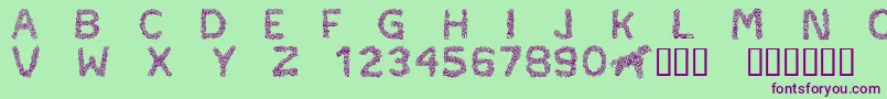Шрифт CftypocraftRegular – фиолетовые шрифты на зелёном фоне