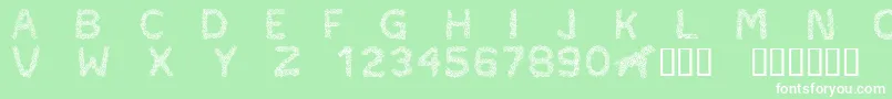 CftypocraftRegular Font – White Fonts on Green Background