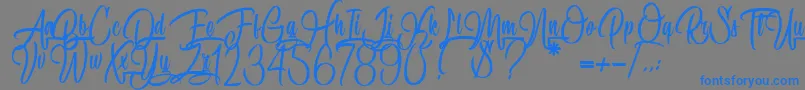 SpecialityOfRodrigues Font – Blue Fonts on Gray Background