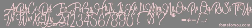 SpecialityOfRodrigues Font – Pink Fonts on Gray Background