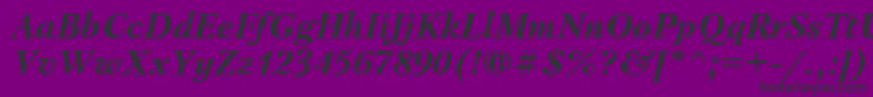 PetersburgBolditalicCyrillic Font – Black Fonts on Purple Background