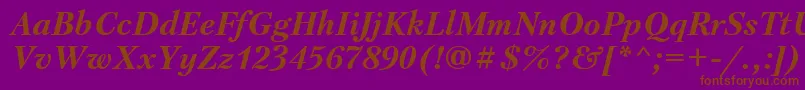 PetersburgBolditalicCyrillic Font – Brown Fonts on Purple Background