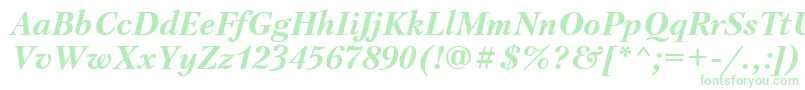 PetersburgBolditalicCyrillic Font – Green Fonts