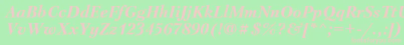 PetersburgBolditalicCyrillic Font – Pink Fonts on Green Background