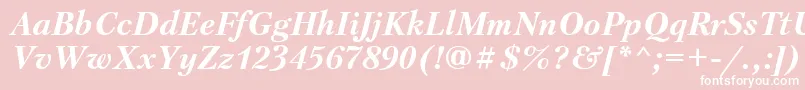 PetersburgBolditalicCyrillic Font – White Fonts on Pink Background