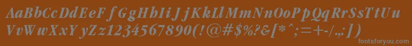 GaramondCondBoldItalic Font – Gray Fonts on Brown Background
