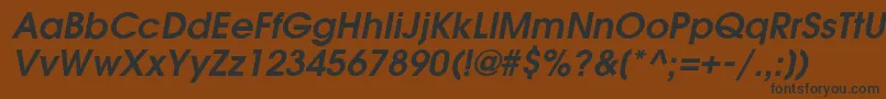 GardenziDemioblique Font – Black Fonts on Brown Background