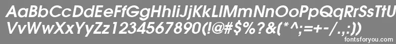 フォントGardenziDemioblique – 灰色の背景に白い文字