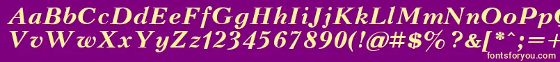 KudrashovBoldItalic.001.001 Font – Yellow Fonts on Purple Background