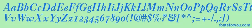 Caslon3ItalicOldstyleFigures Font – Blue Fonts on Green Background