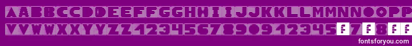 SunBlinds Font – White Fonts on Purple Background