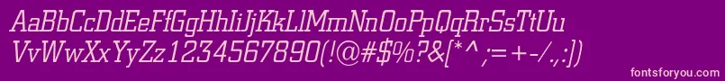 ACitynovaltItalic Font – Pink Fonts on Purple Background